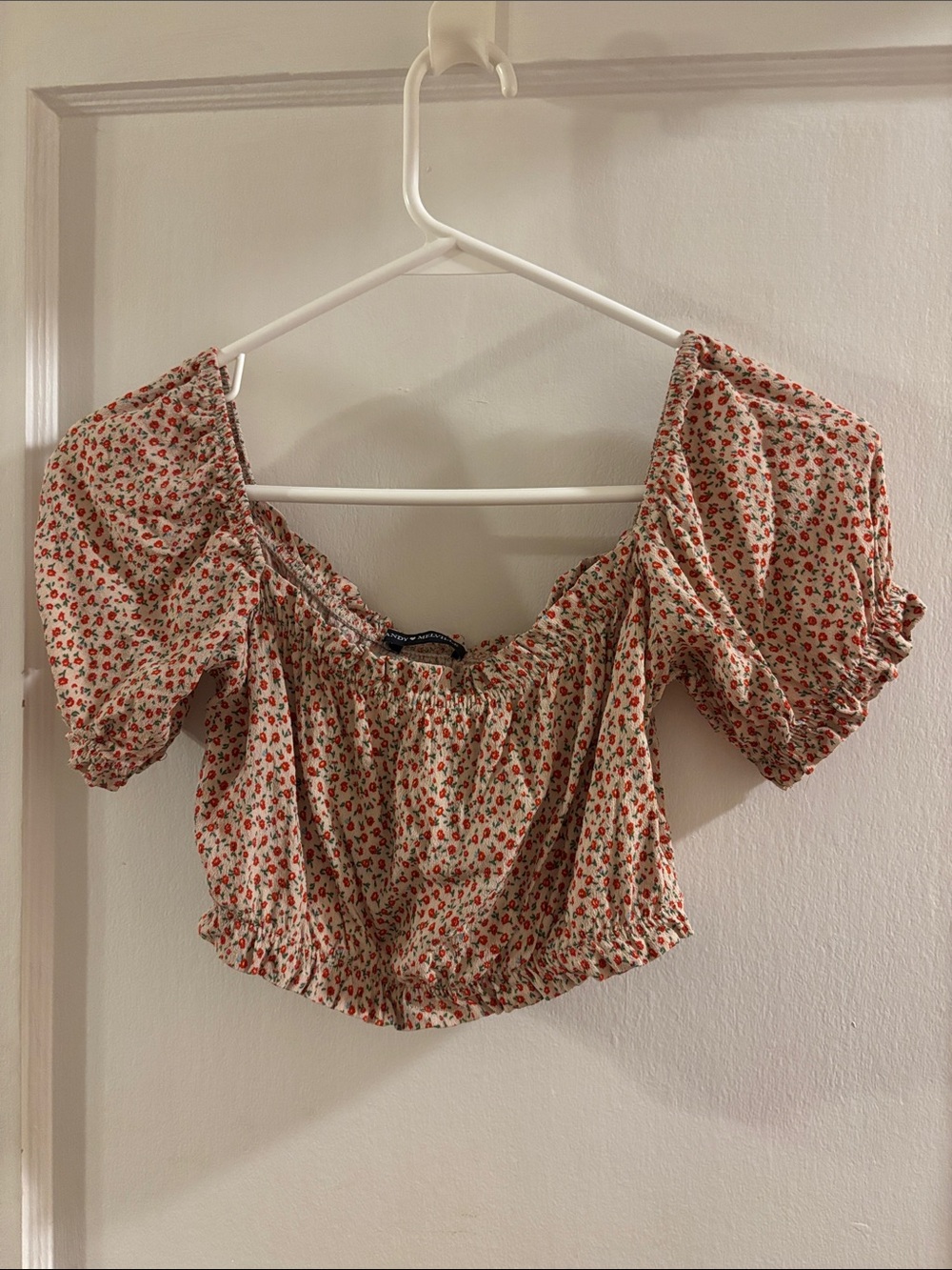 Brandy Melville Cream Crop Top with Red Floral Print OSFM